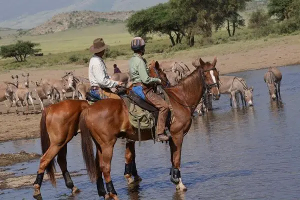 2 Hours Dolly Horse Riding in Tanzania