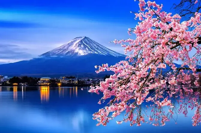 Mount Fuji Day Trip in Japan
